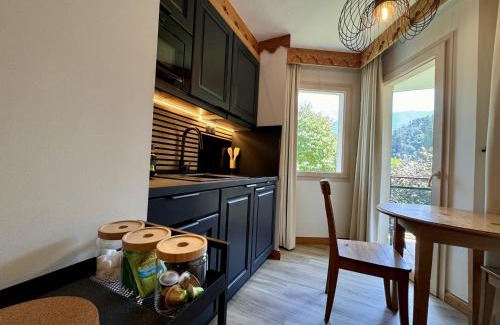 Duingt Apartment | Studio La Baie des Voiles vue lac et montagne