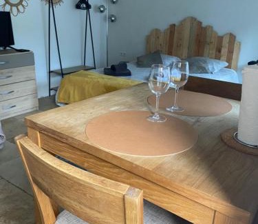 L'Isle-sur-la-Sorgue Apartment | Studio La Source Claire
