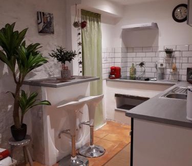 Saint-Pierre-des-Champs Apartment | Studio Le clos des vins d'Anges