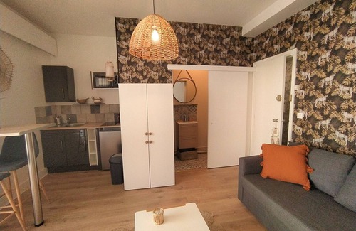 Flore Apartment | Studio Le Léopard Centre Ville Smart TV Terrasse