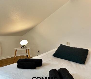 Vandoeuvre-les-Nancy Apartment | Studio, Le Petit Mika avec Stationnement Gratuit