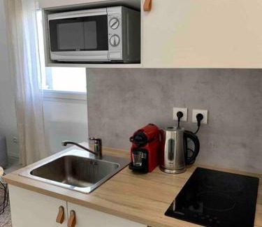 Jean Moulin - Marius Berliet Apartment | Studio Le Pensier - Monplaisir