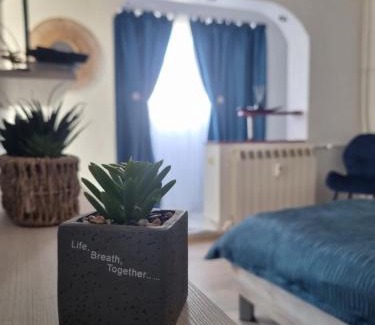 Craiova Apartment | Studio Parc Romanescu