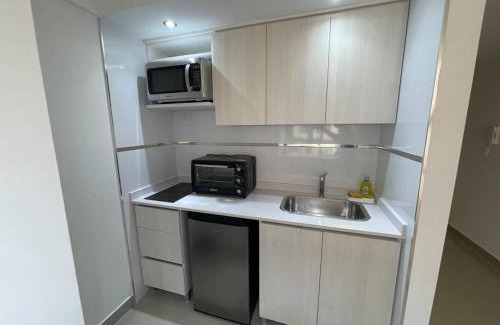 Buenos Aires Central Business District Apartment | Studio Paseo la Cisterna 514