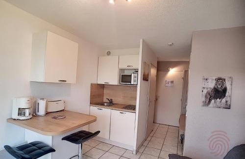Lamalou-les-Bains Apartment | Studio rénové, proche centre-ville et thermes, avec jardin, WIFI, animaux acceptés - FR-1-451-62