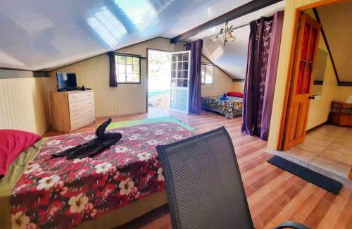 Teahupoo Apartment | Studio Rava 1 Room 1 Chambre Fare Tepua Lodge
