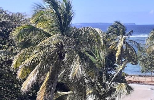 Le Moule Apartment | STUDIO VUE SUR MER