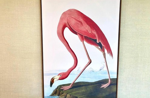 Poole Apartment | Stunning 3 bedroom Penthouse Apartment - Free Parking & WiFi - 1 Minute walk to Poole Quay - Great Location - Free Parking - Fast WiFi - Smart TV - Newly decorated - sleeps up to 6! Close to Poole & Bournemouth & Sandbanks