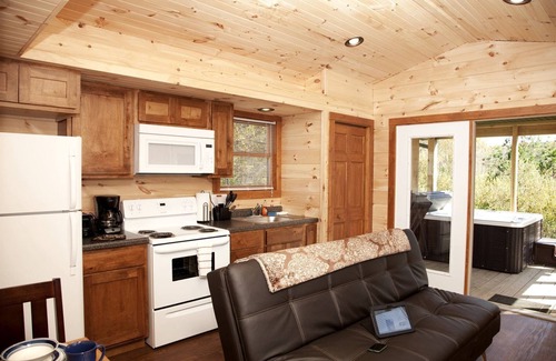 Equality Cabin | Stunning Cabin with Hot-tub and Fireplace in Herod, Illinois