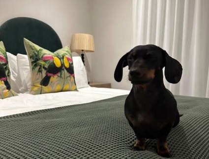 Hermanus City-Centre House | Stunning Home in Hermanus Town Centre