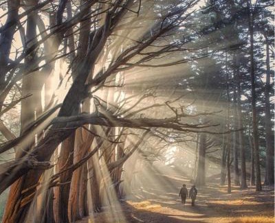 Montara House | Stunning Oceanview Coastal Home Beach Trails Family Activities