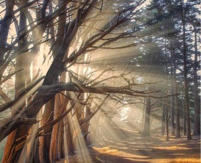 Montara House | Stunning Oceanview Coastal Home Beach Trails Family Activities