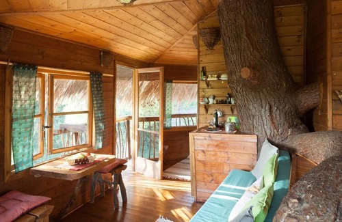 Ilida Cottage | Stunning Treehouse 10 mins from sandy beaches.