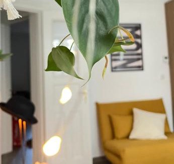 Rotherbaum Apartment | Stylish Central Apartment