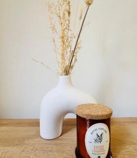 Mantega Apartment | Sublime T3 havre de paix rénové climatisé Parking