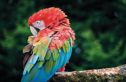 Pen-y-cae Apartment | Suite 4 - Sleeping Giant Hotel - Pen Y Cae Inn