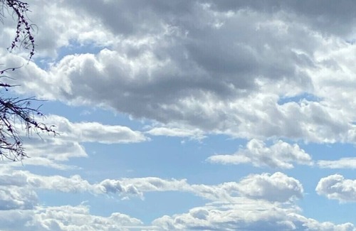 Jasper House | Suite in beautiful Jasper National Park. Mountains, wildlife and more!