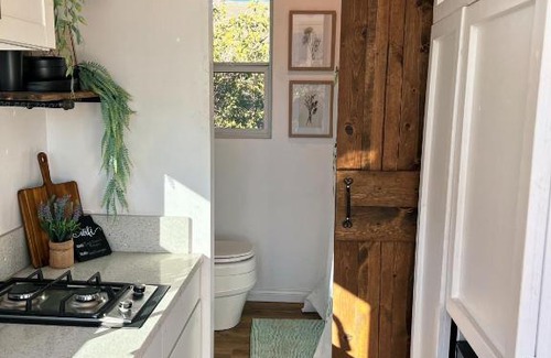 Mount Charleston Other | Suite Spot LV