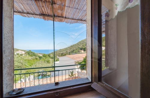 Campo nell'Elba Apartment | SULLA VALLE DI SECCHETO