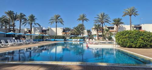 Arona Apartment | Summer Terrace Paradise