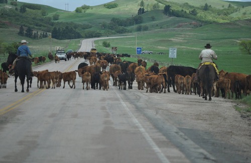 Moorcroft House | Sundance Wyoming Bunkhouse
