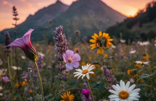 New Windsor Bed & Breakfast | Sunday Morning at Savannahs