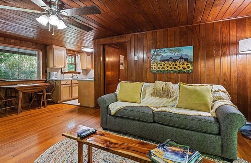 Maggie Valley Cabin | Sunflower Shack: 1 BR, 1 BA Cabin/Bungalow in Maggie Valley, Sleeps 2