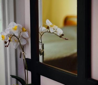 Nea Peramos Apartment | Sunlight apartment