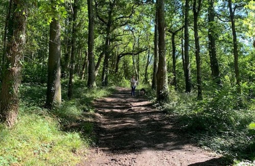 Liverton Cabin | Sunny Deer's Retreat lodge Devon - Finlake Resort