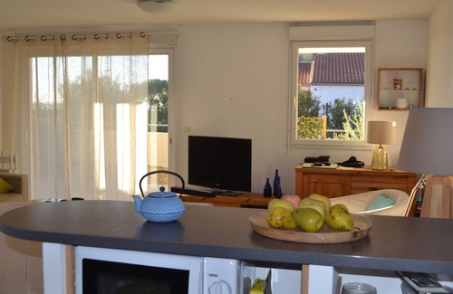 Meze Apartment | Sunny Retreat Steps from Mèze Beach, 3-star Apartment with Terrace, Garden, Parking, and WiFi