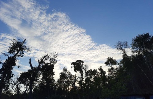 Kutta House | Sunrise Homestay, Nagarahole
