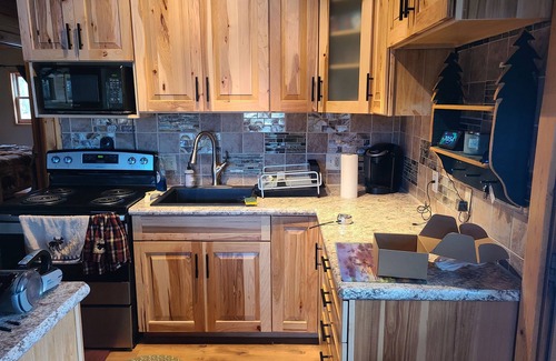 Remer Cabin | Sunset Shores Northwoods Retreat! Luxurious Cabin awaits You and yours.