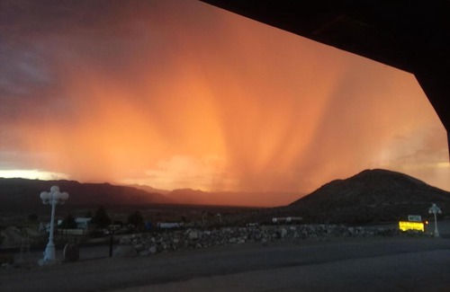 Alamo Hotel | Sunset View Inn L.L.C