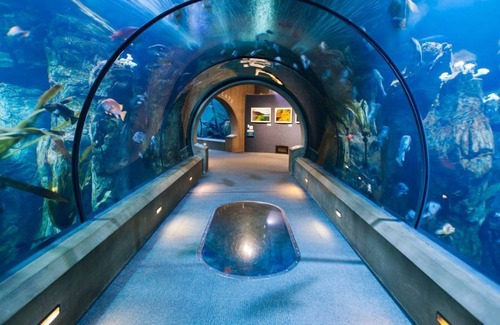 Newport House | Sunsets on the Shore! Indoor Pool, Ocean View, Pet-friendly Property!