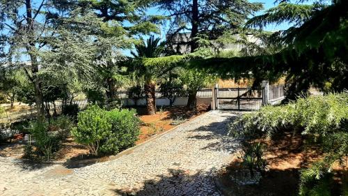 Ortona Apartment | Sunshine's casa vacanze