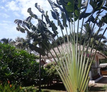 Maret Hotel | Sunya Cottage