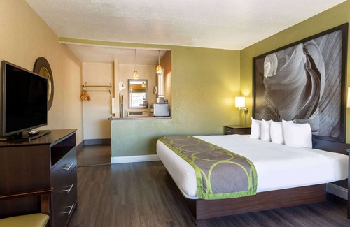 Flagstaff Hotel | Super 8 by Wyndham Conference Center NAU/Downtown