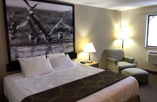 Salmon Arm Hotel | Super 8 by Wyndham Salmon Arm