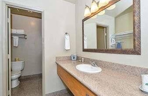 Vallejo Hotel | Super 8 by Wyndham Vallejo/Napa Valley