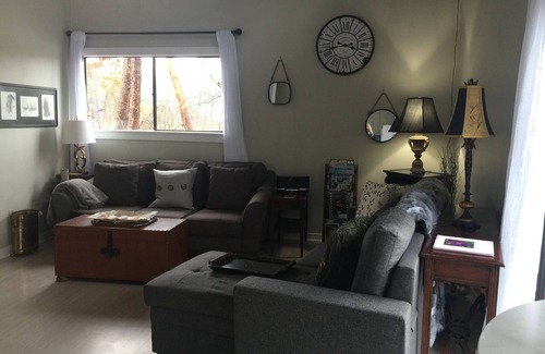 Gainesville Ski Chalet | Super clean Cabin on the Lake!