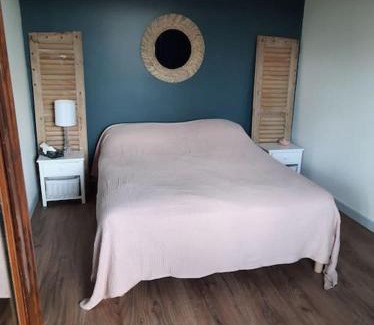 Brazey-en-Plaine Apartment | Superbe appartement climatisé au centre ville 777