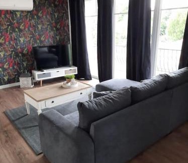 Brazey-en-Plaine Apartment | Superbe appartement climatisé au centre ville 777