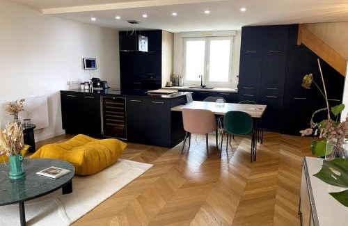 Yves Farge - Le Fleuve Apartment | Superbe duplex centre de lyon- rooftop et parking