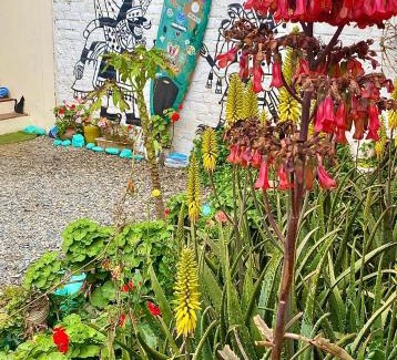 Puerto Chicama Hotel | Surf House Chicama