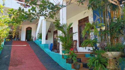 Matara House | Surfing Guest House