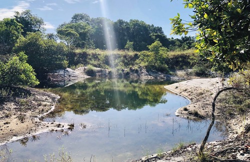 Zanderij Other | Suriname