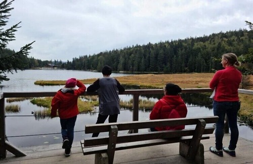 Regen Apartment | Susanne - forest holiday village