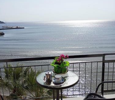 Agia Marina Hotel | Svetlana & Michalis Oasis Hotel