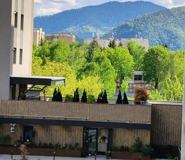 Tractorul Apartment | Sweet Butterflies Residence