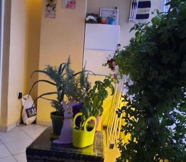 Skopje Region Apartment | Sweet Cozy Apartment